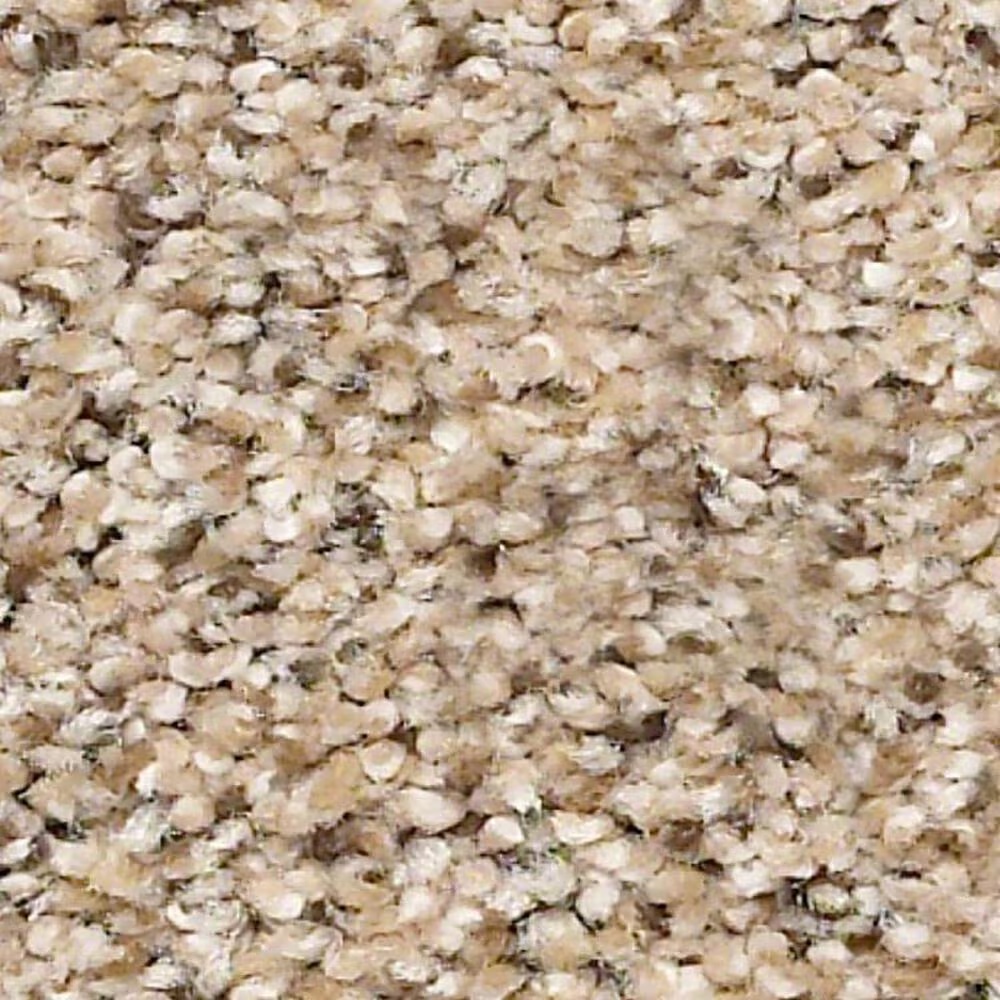 Shaw Elemental Mix II Carpet in Twine