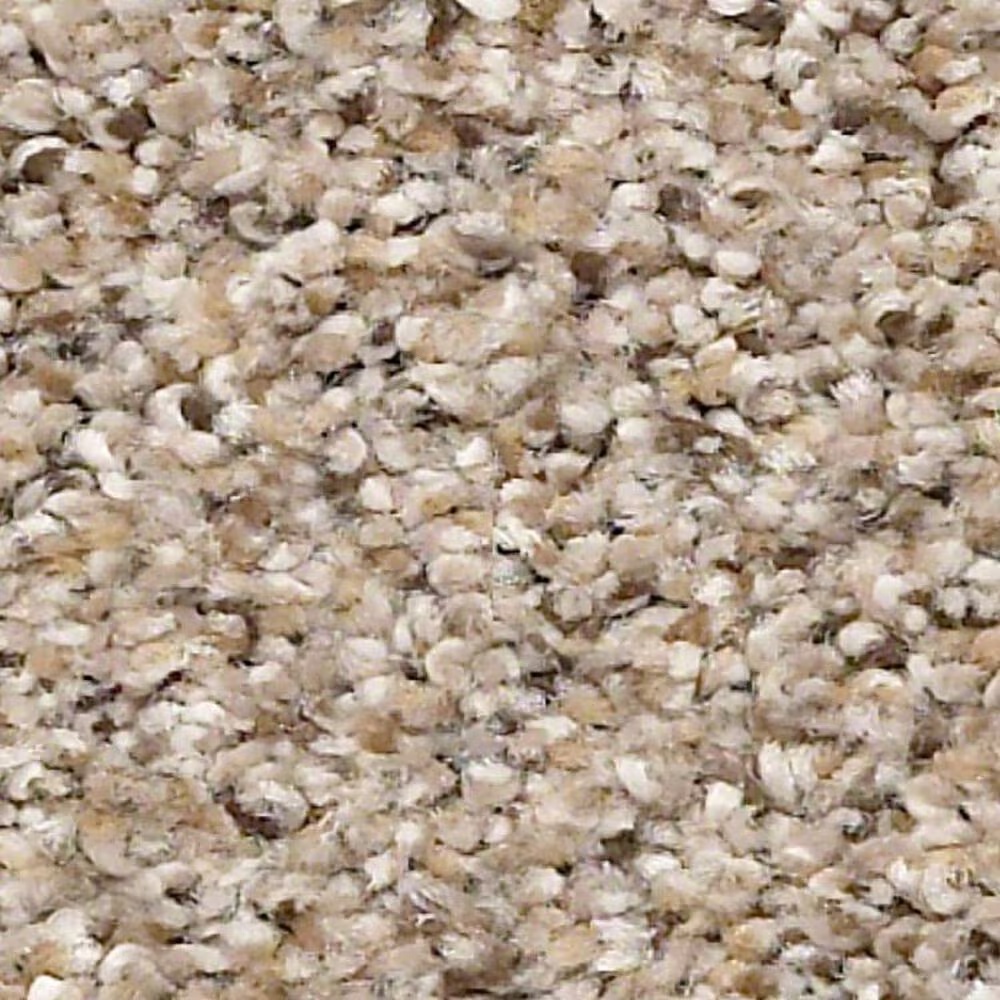 Shaw Elemental Mix II Carpet in Acreage