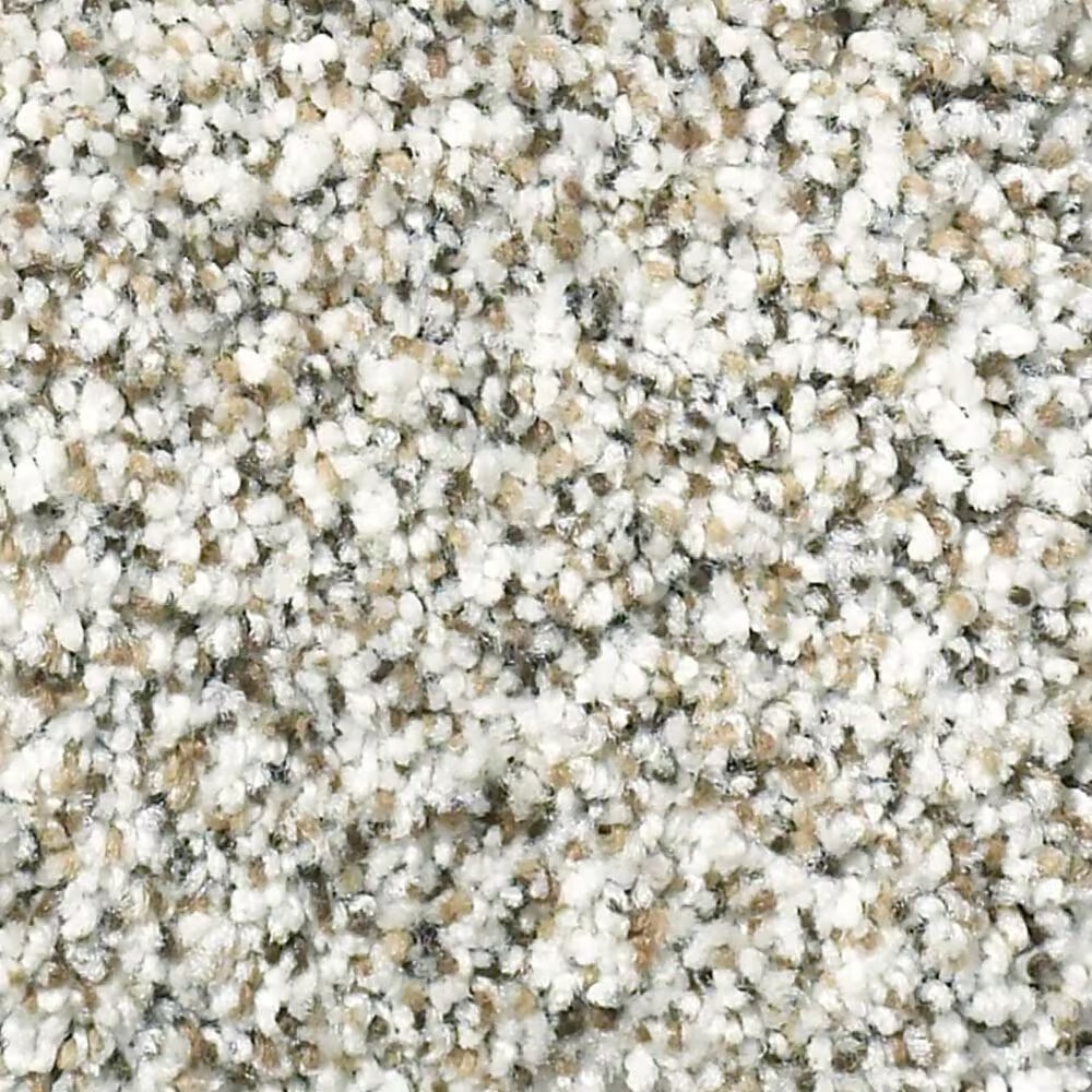 Shaw Elemental Mix II Carpet in Whitewash