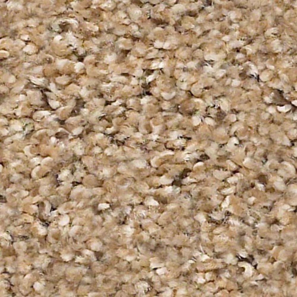 Shaw Elemental Mix II Carpet in Bridle Leather