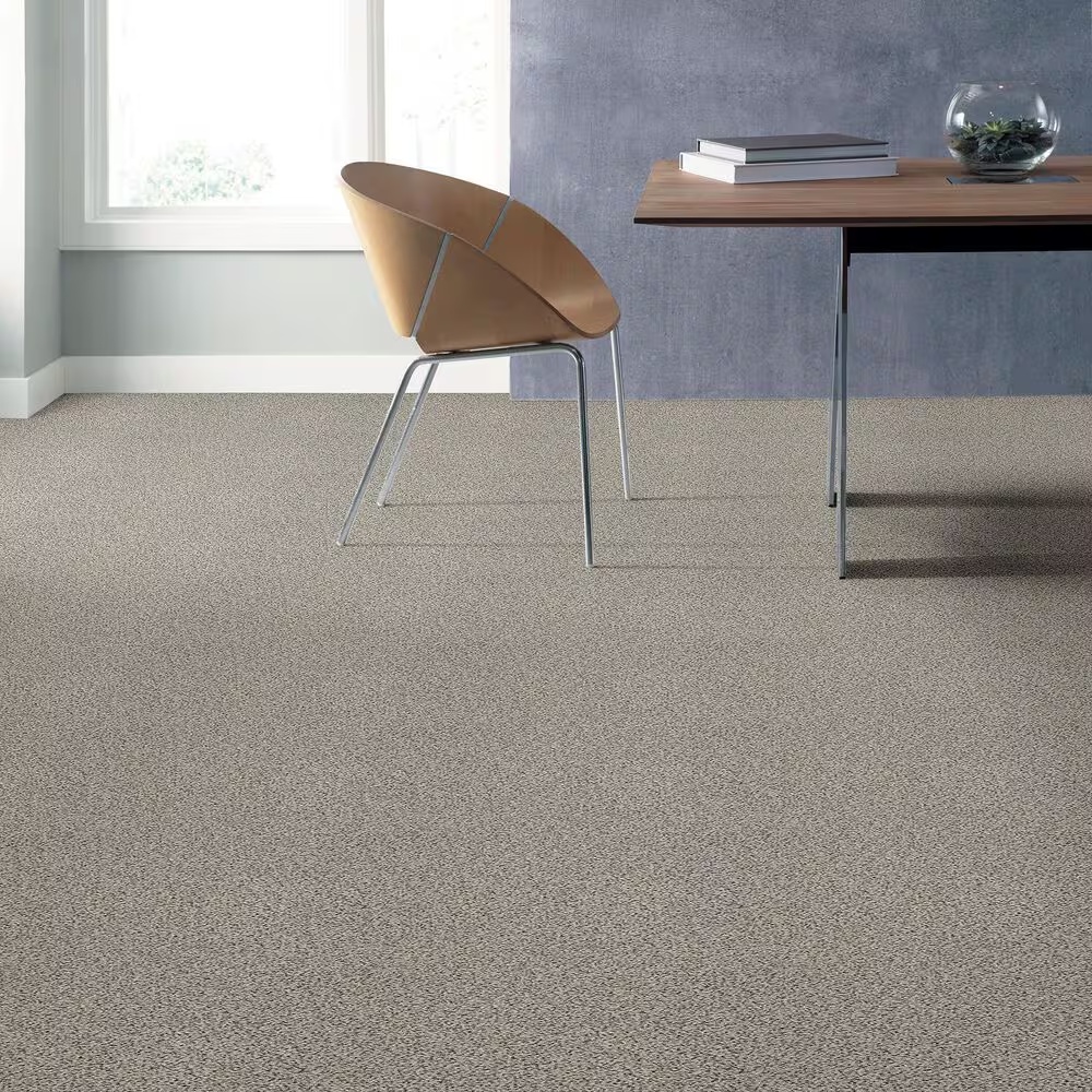 18191-shaw-foundations-elemental-mix-ii-carpet-in-silver-lining-1.jpg
