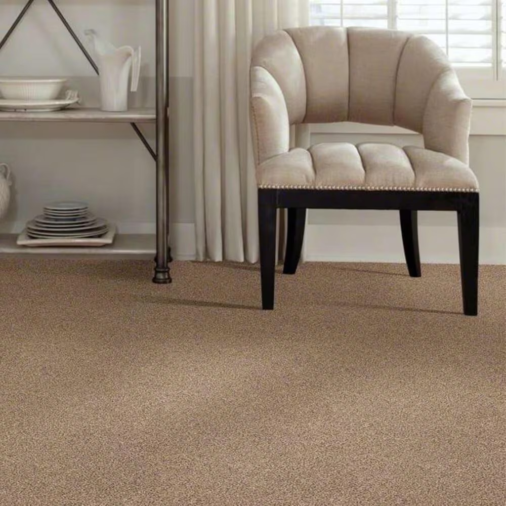 Shaw Elemental Mix II Carpet in Arrowhead