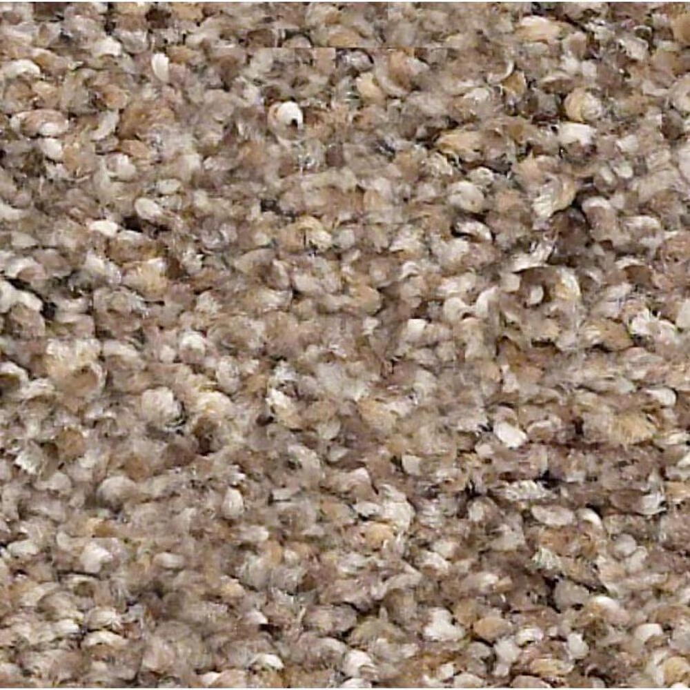 Shaw Elemental Mix II Carpet in Cobble Drive
