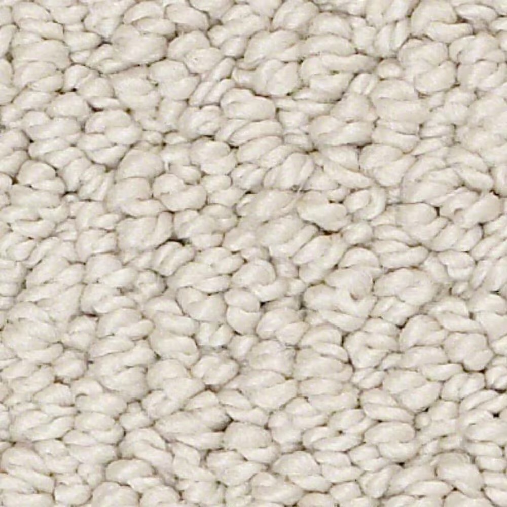 Shaw Smart Thinking Carpet in Barista