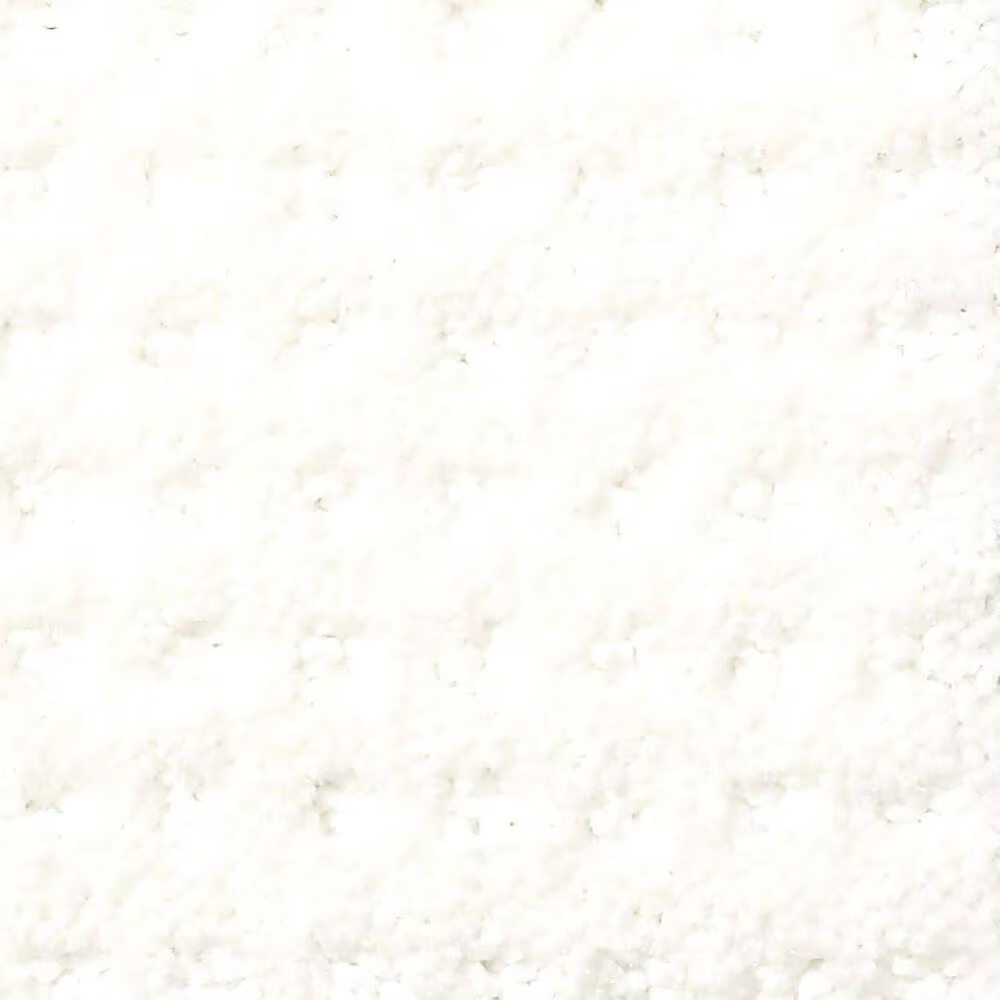 Shaw Foundations Alluring Disposition Carpet in White Hot