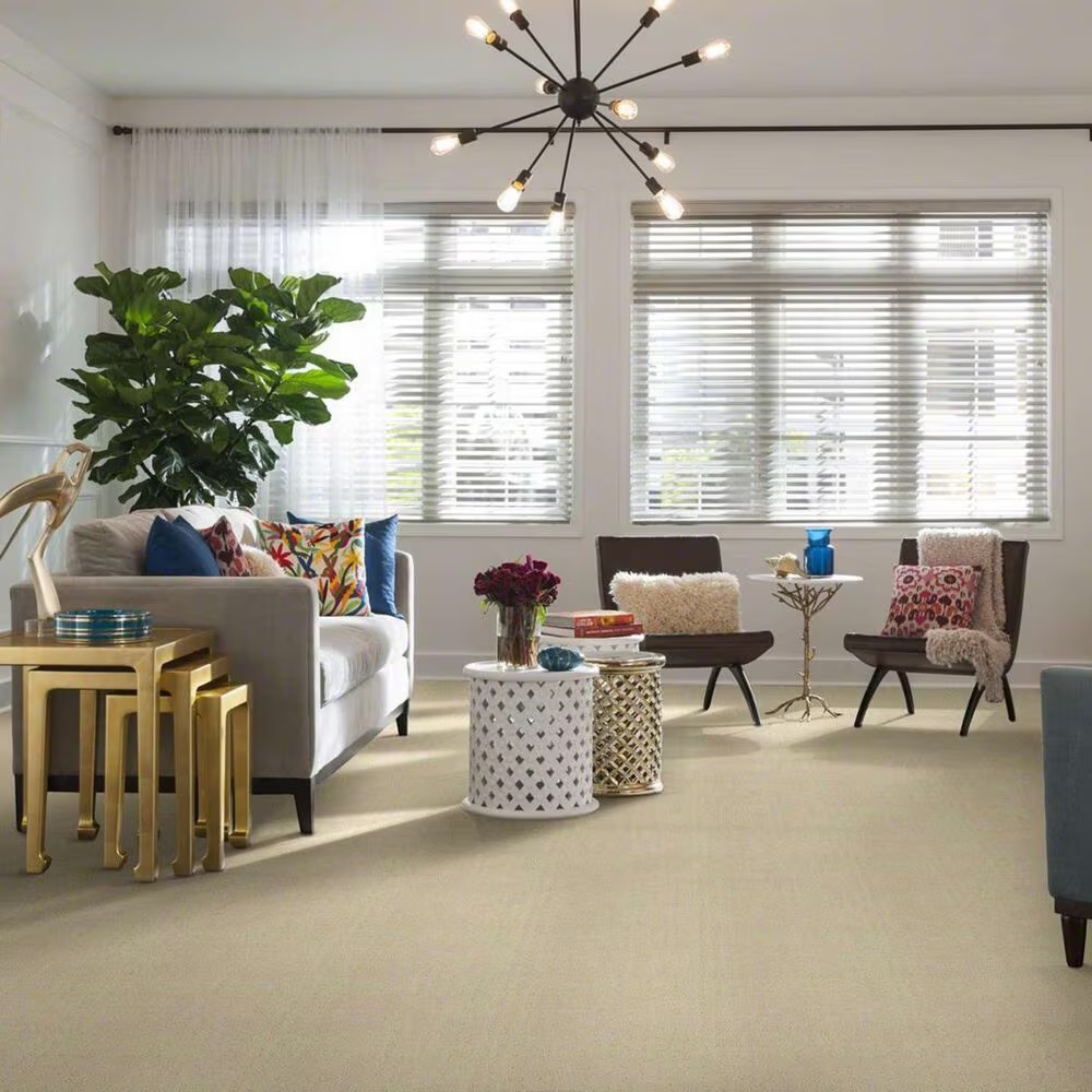 18351-shaw-alluring-disposition-carpet-in-treasure-1.jpg