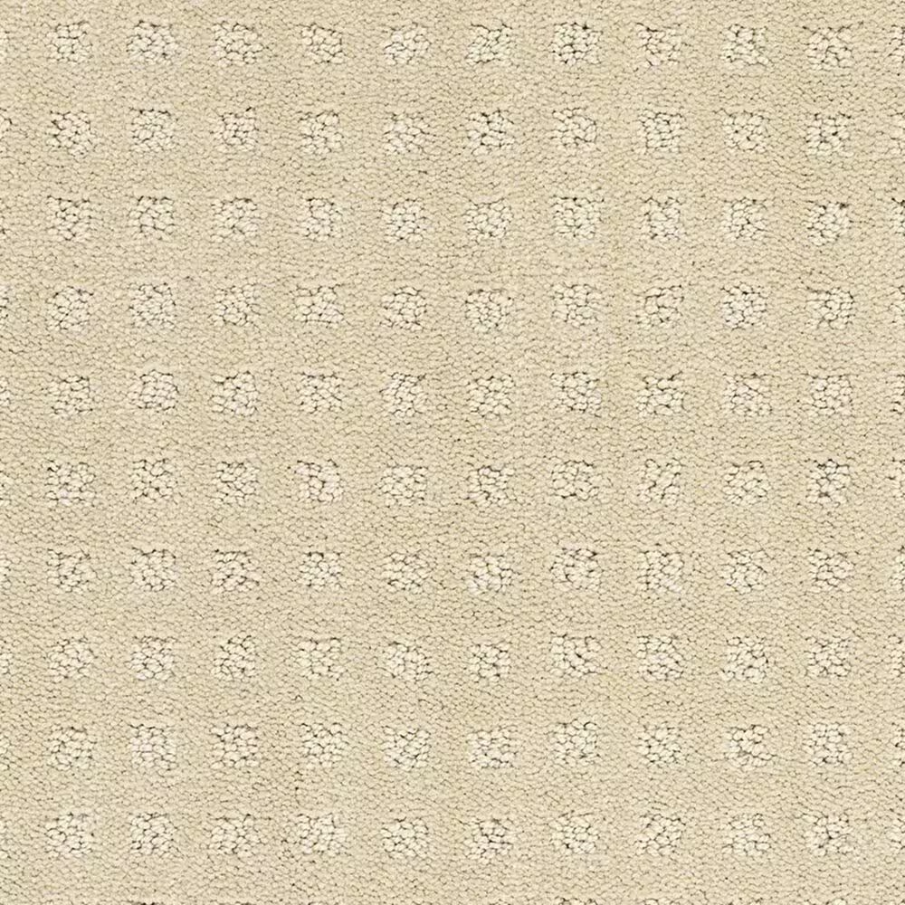 Shaw Alluring Disposition Carpet in Shoreline