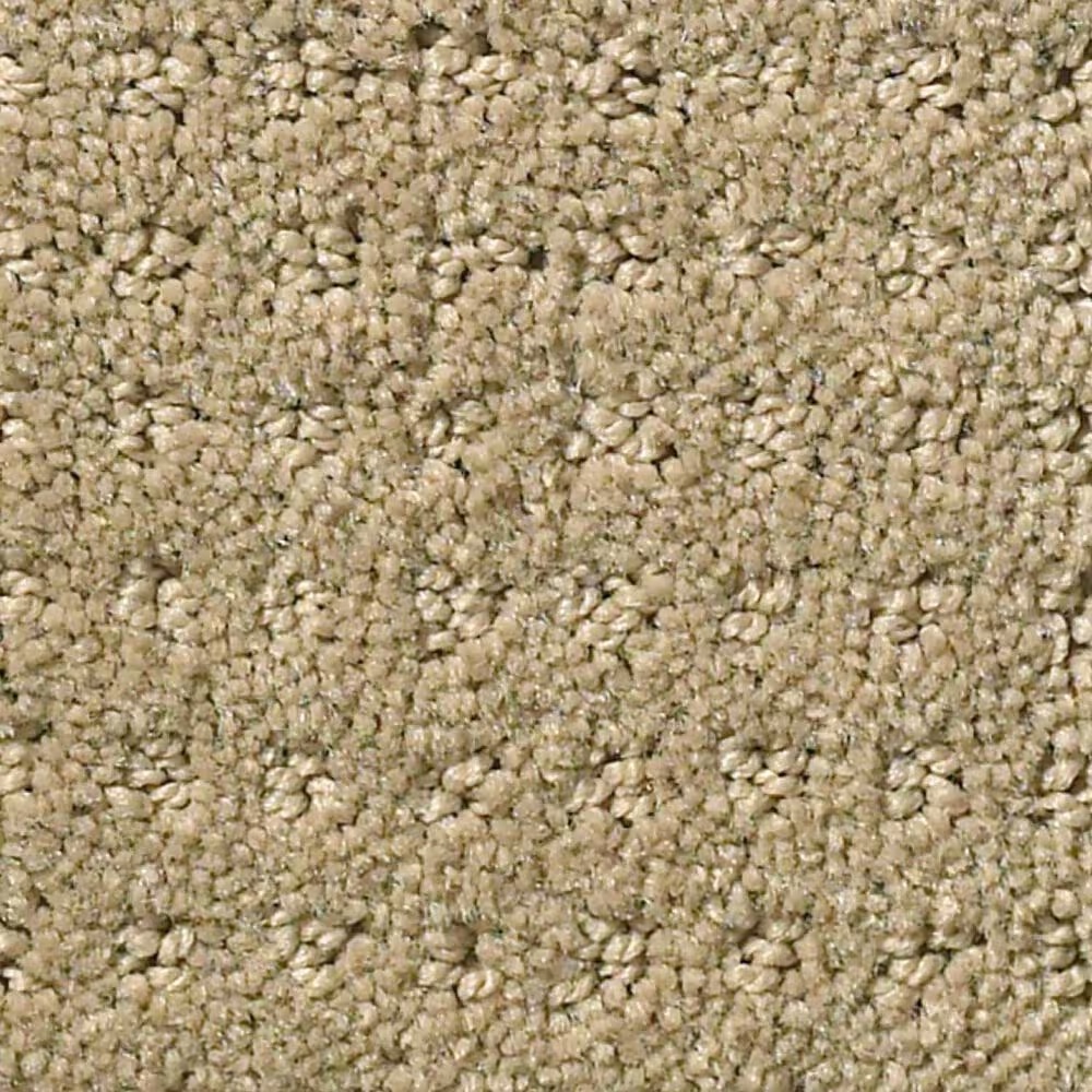 Shaw Foundations Alluring Disposition Carpet in Safari