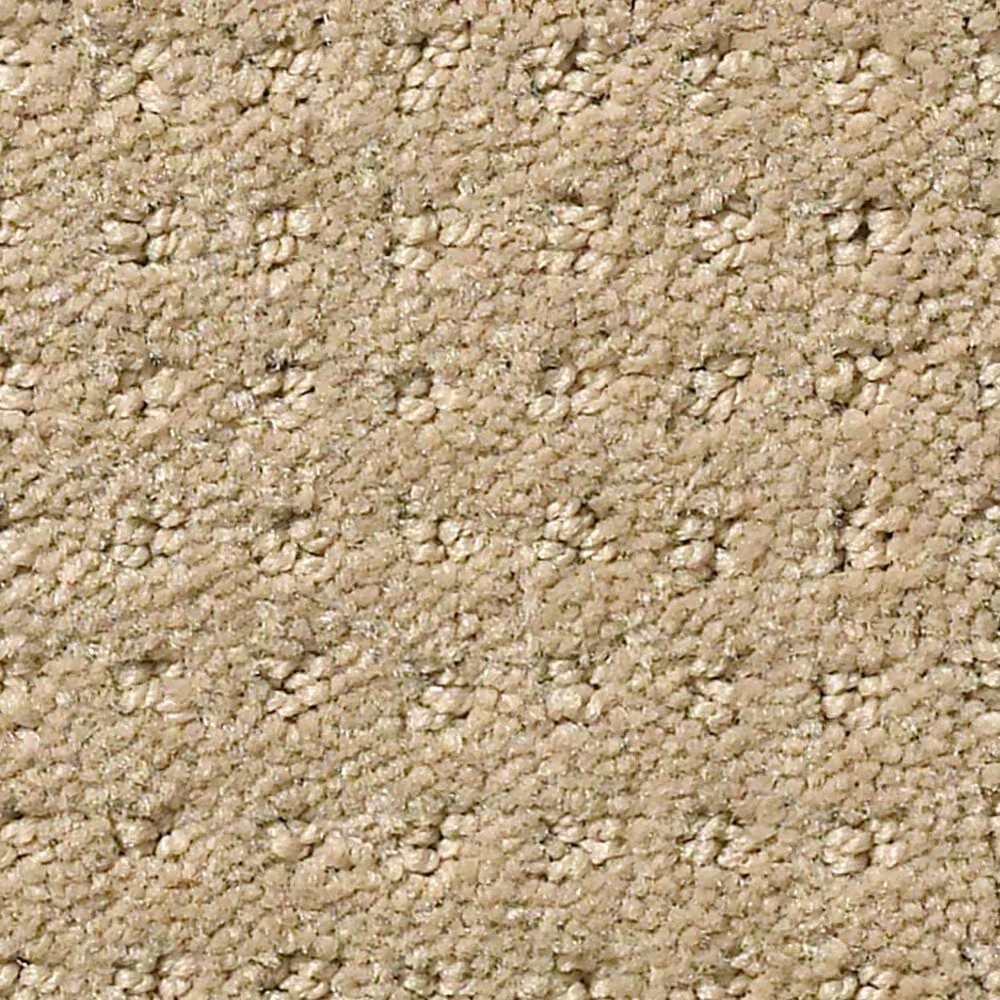 Shaw Foundations Alluring Disposition Carpet in Espresso