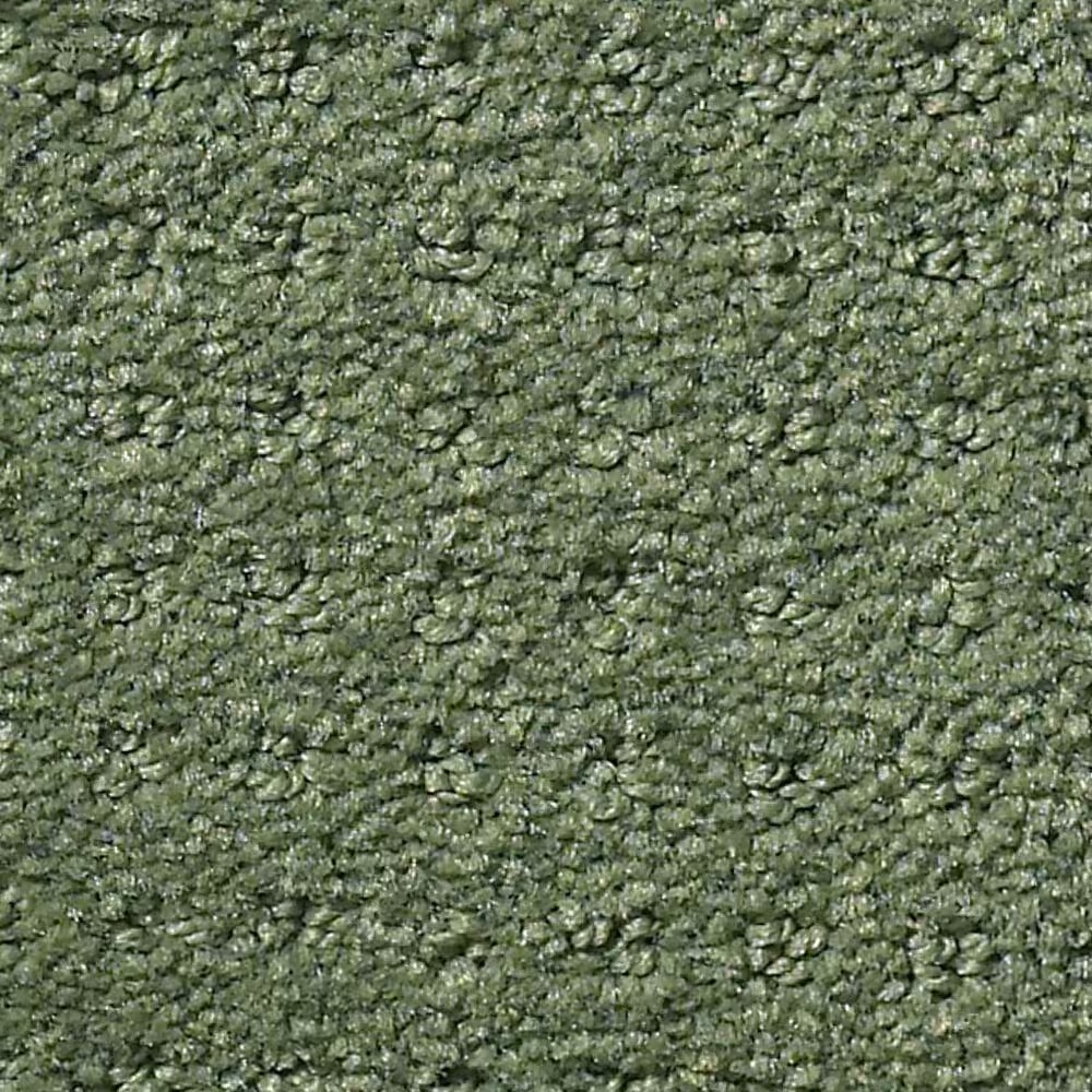 Shaw Foundations Alluring Disposition Carpet in Lush Garden