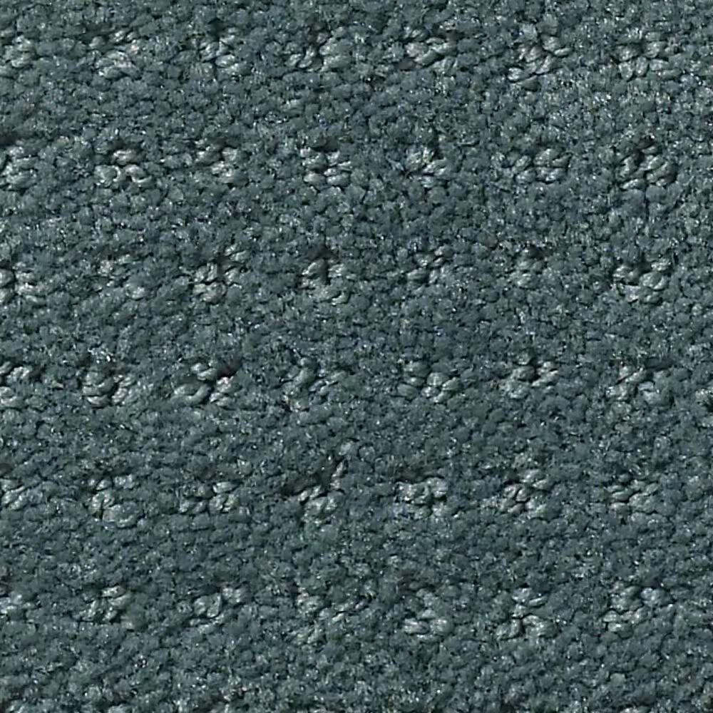 Shaw Foundations Alluring Disposition Carpet in Oceanside