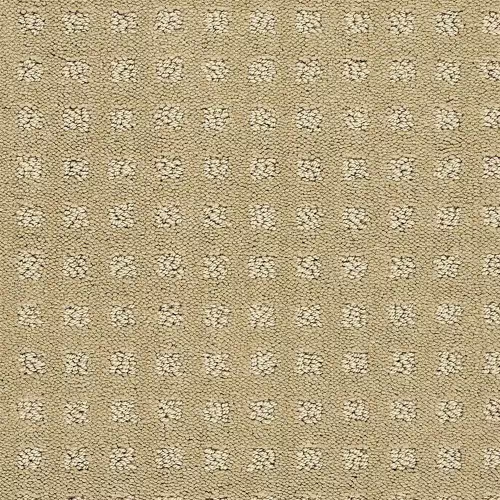 Shaw Alluring Disposition Carpet in Warmth