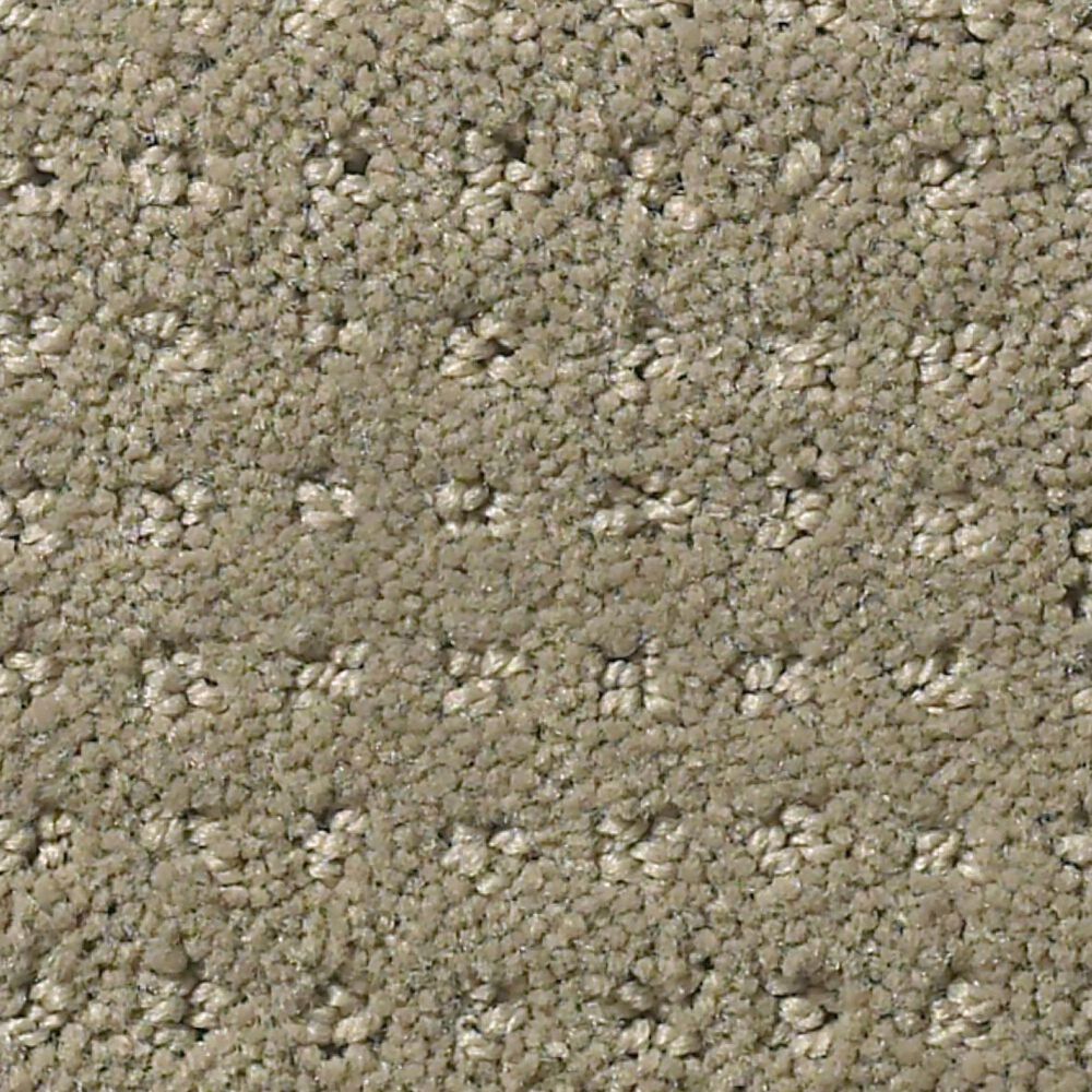Shaw Alluring Disposition Carpet in Mocha