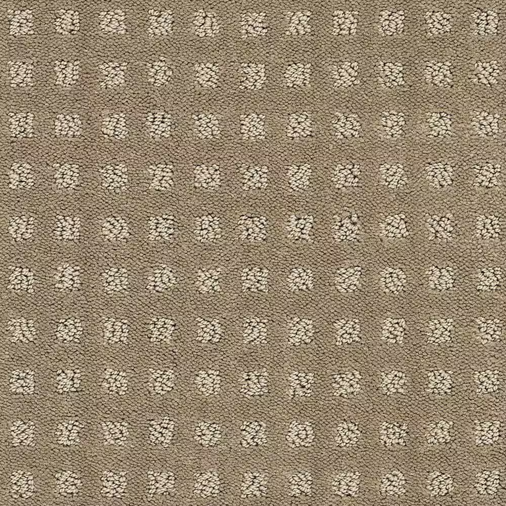 Shaw Alluring Disposition Carpet in Grounded