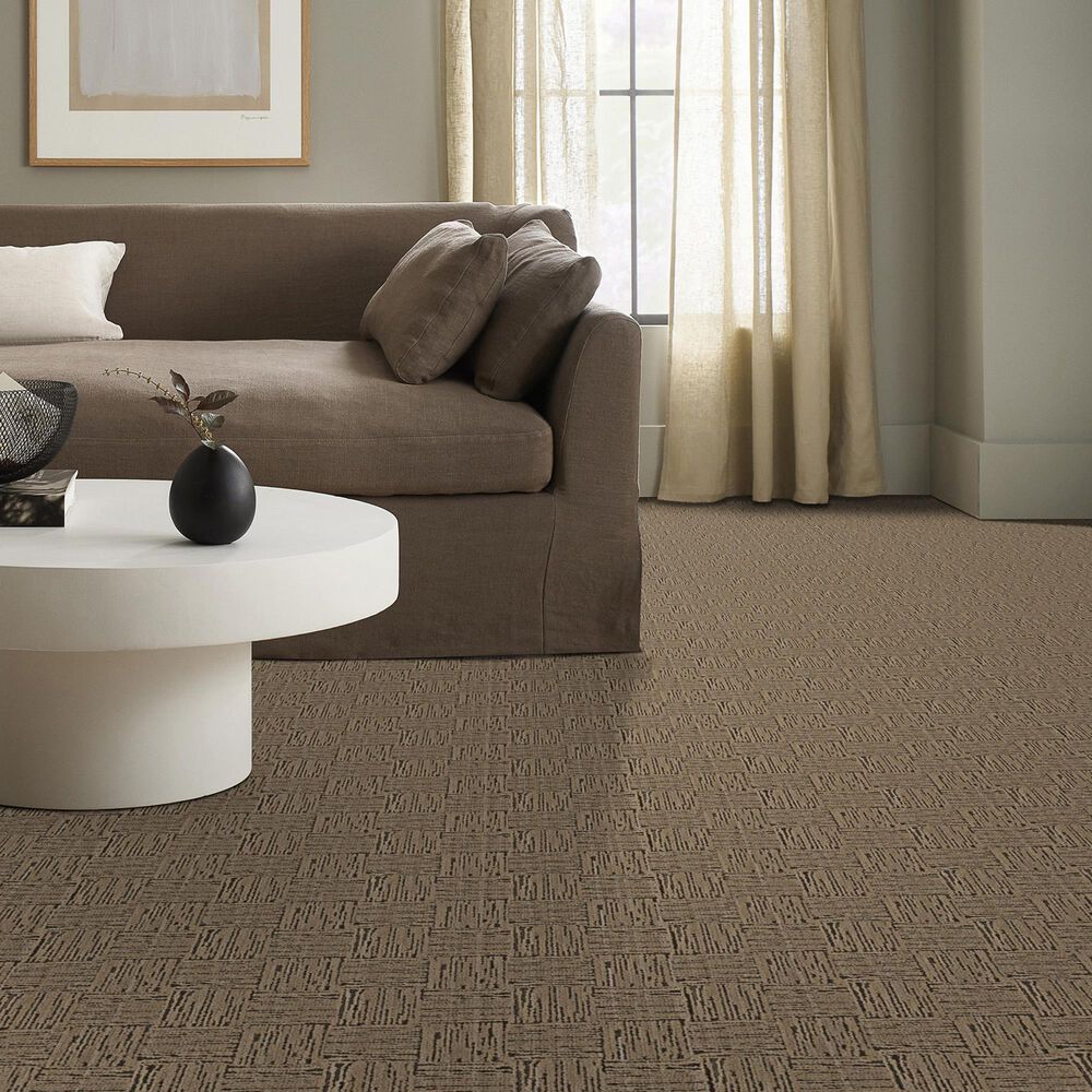 185609-anderson-tuftex-moderne-carpet-in-palace-1.jpg