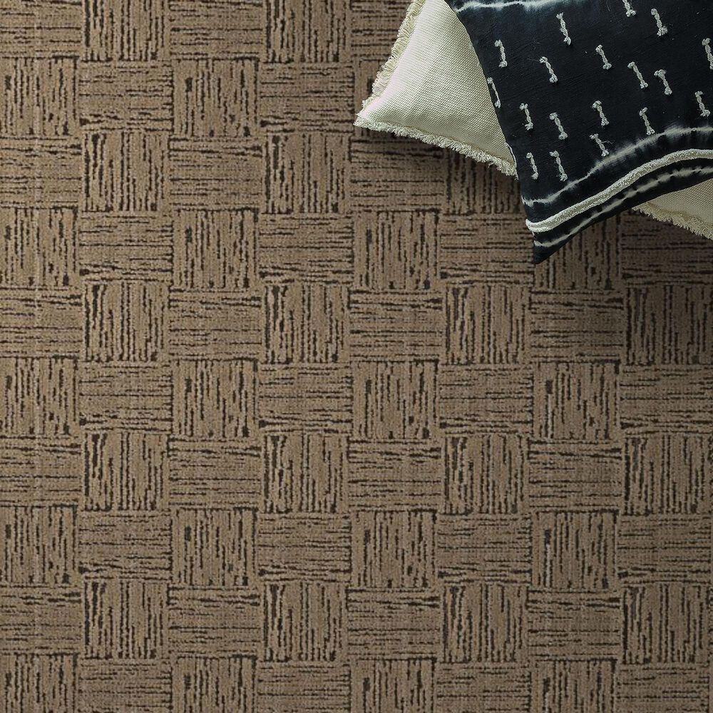 185609-anderson-tuftex-moderne-carpet-in-palace-1.jpg