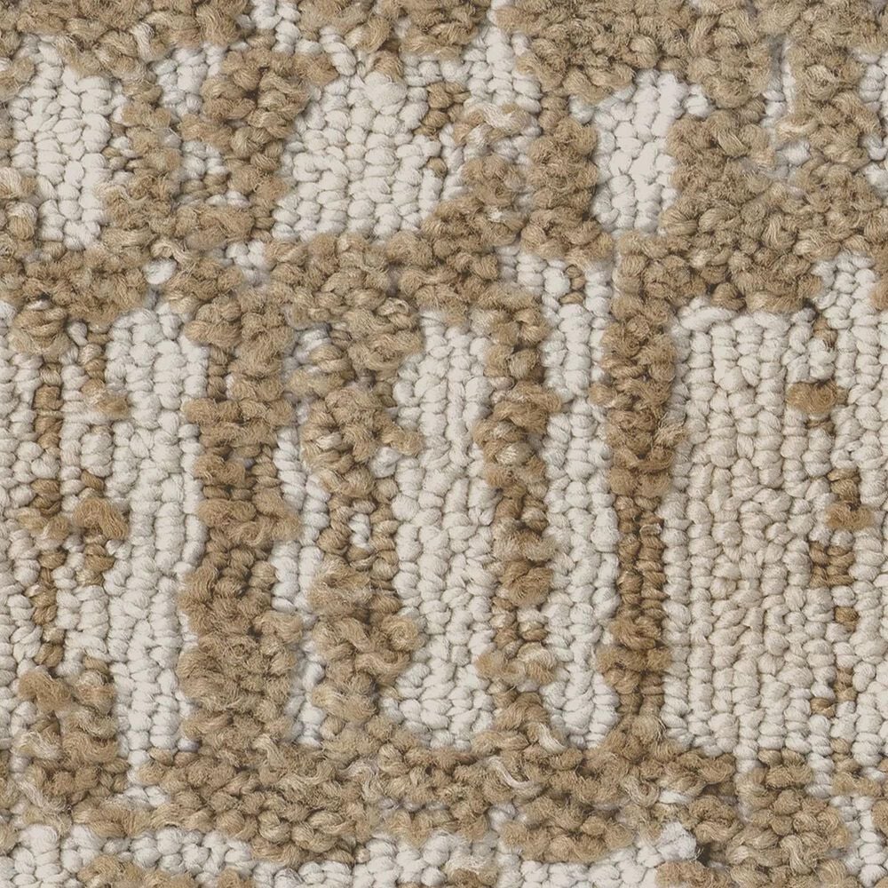 Anderson Tuftex Batique Carpet in Warm Light