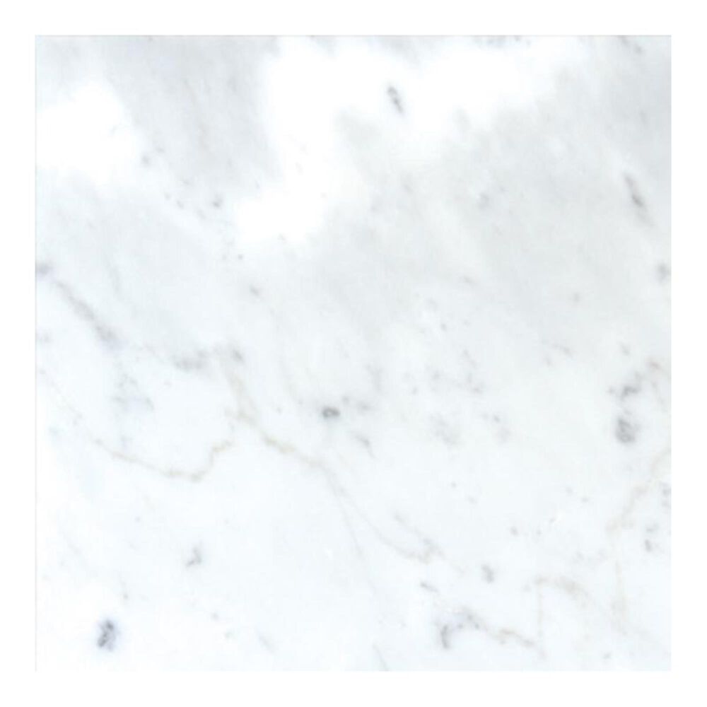 MS International Carrara White 12" x 12" Natural Stone Tile