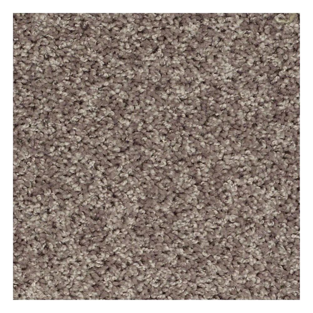 1956-shaw-go-big-carpet-in-trade-wind-1.jpg