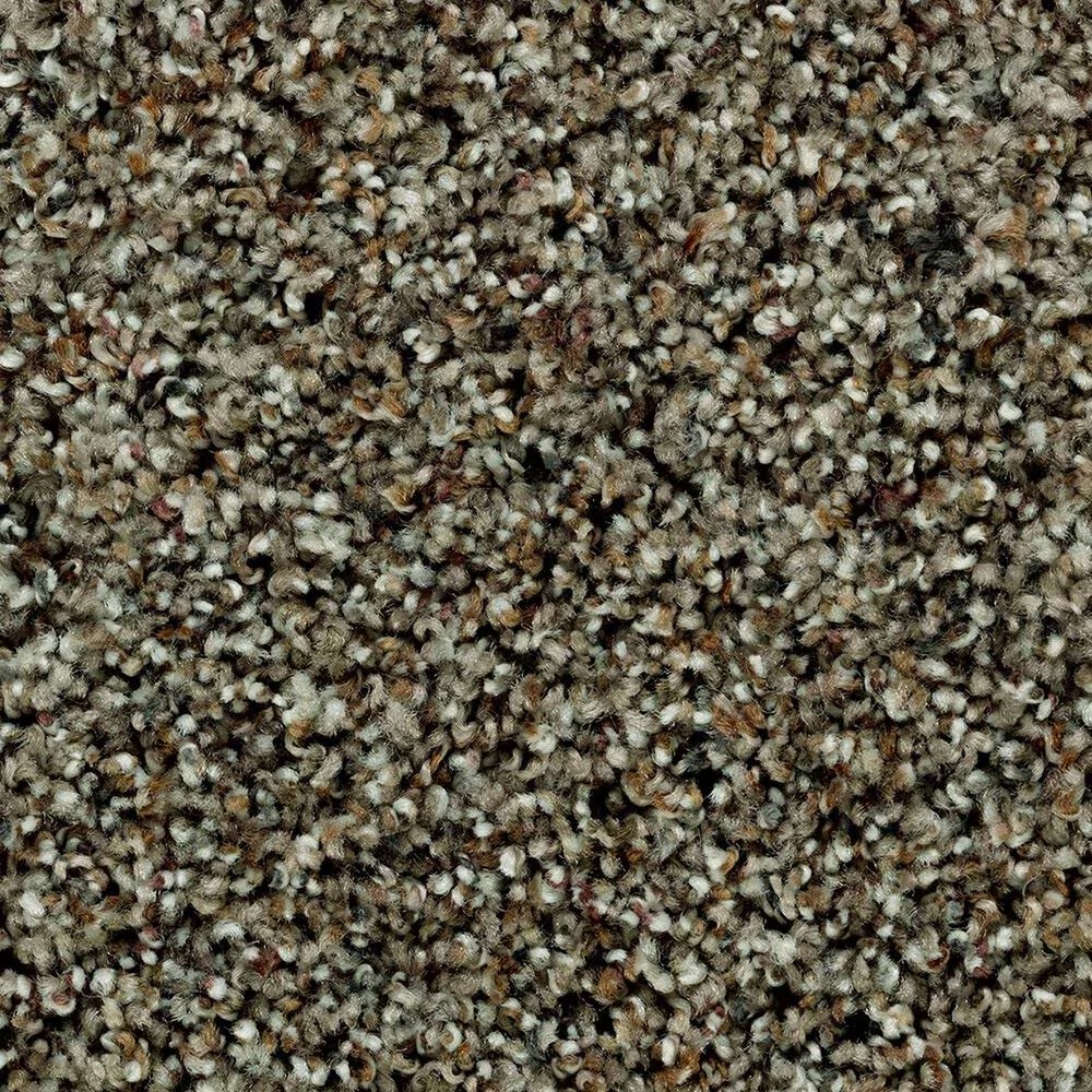 Mohawk Relaxing View II Carpet in Sparrow