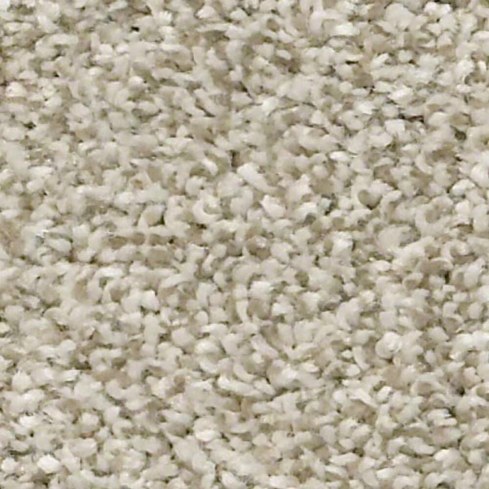 Shaw Just A Hint II Carpet in Eggshell