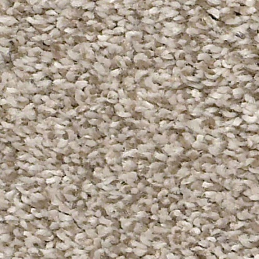 Shaw Just A Hint II Carpet in Toast