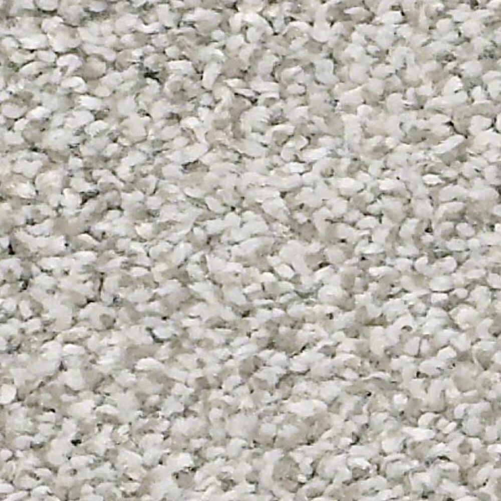 Shaw Just A Hint II Carpet in Dew