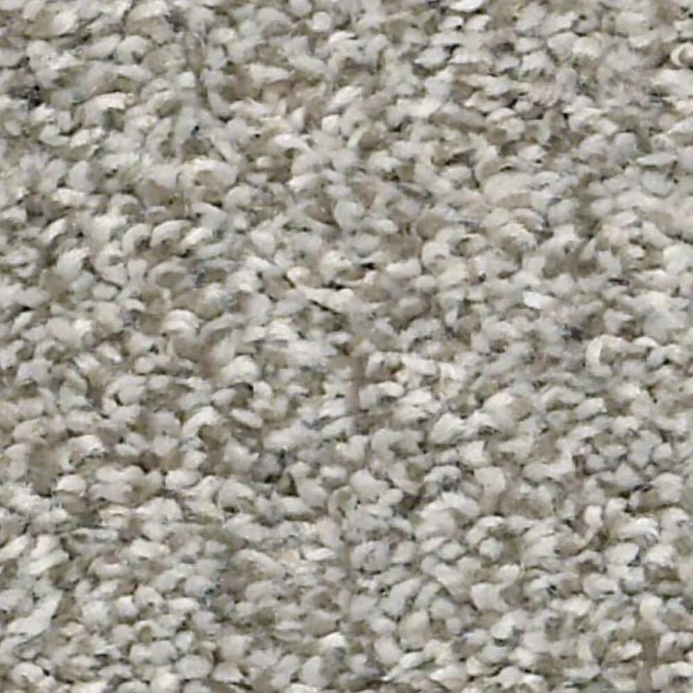 Shaw Just A Hint II Carpet in Sterling