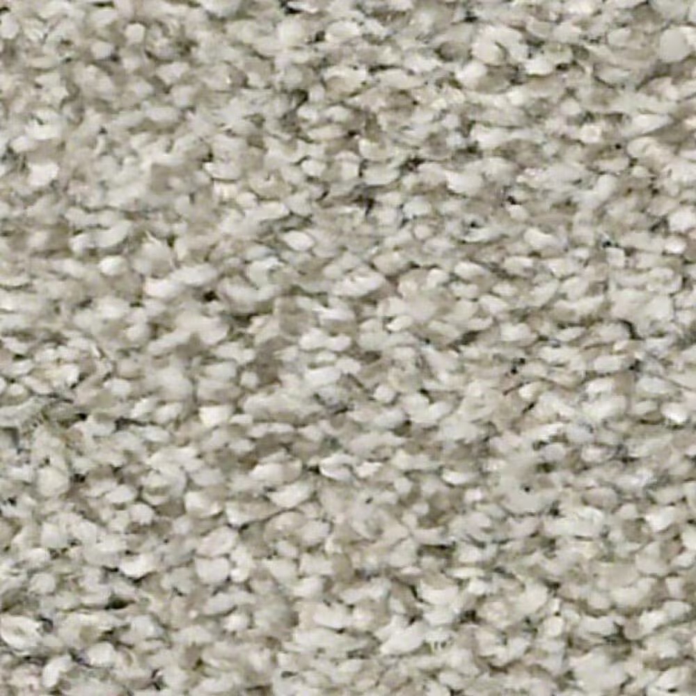 Shaw Just A Hint II Carpet in Flax