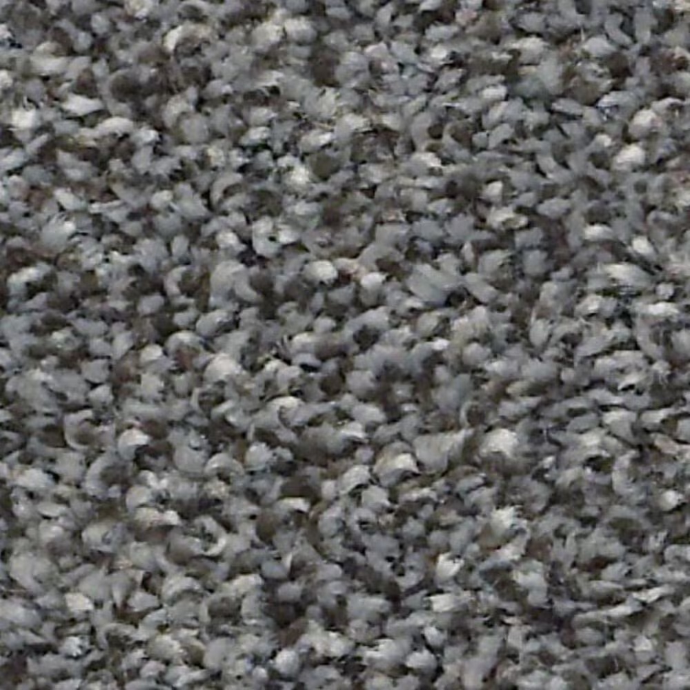 Shaw Just A Hint II Carpet in Steel