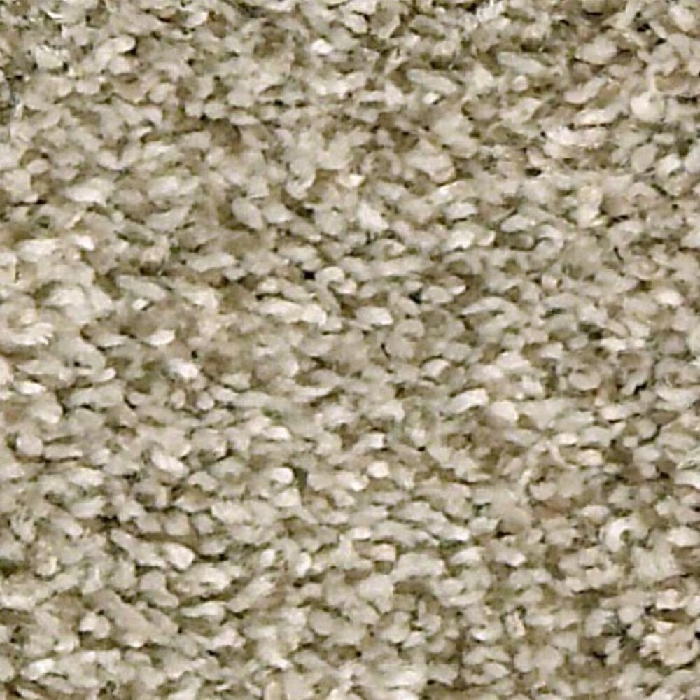 Shaw Just A Hint II Carpet in Khaki
