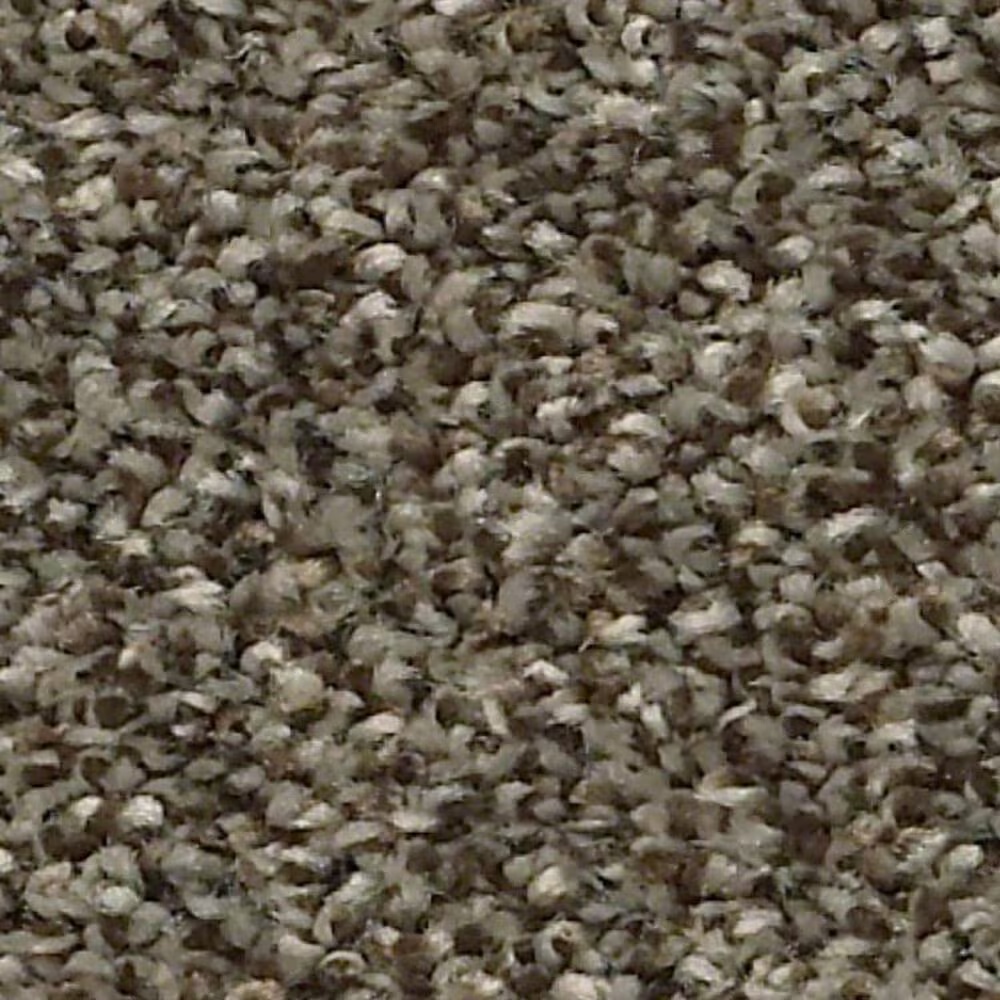 Shaw Just A Hint II Carpet in Mink