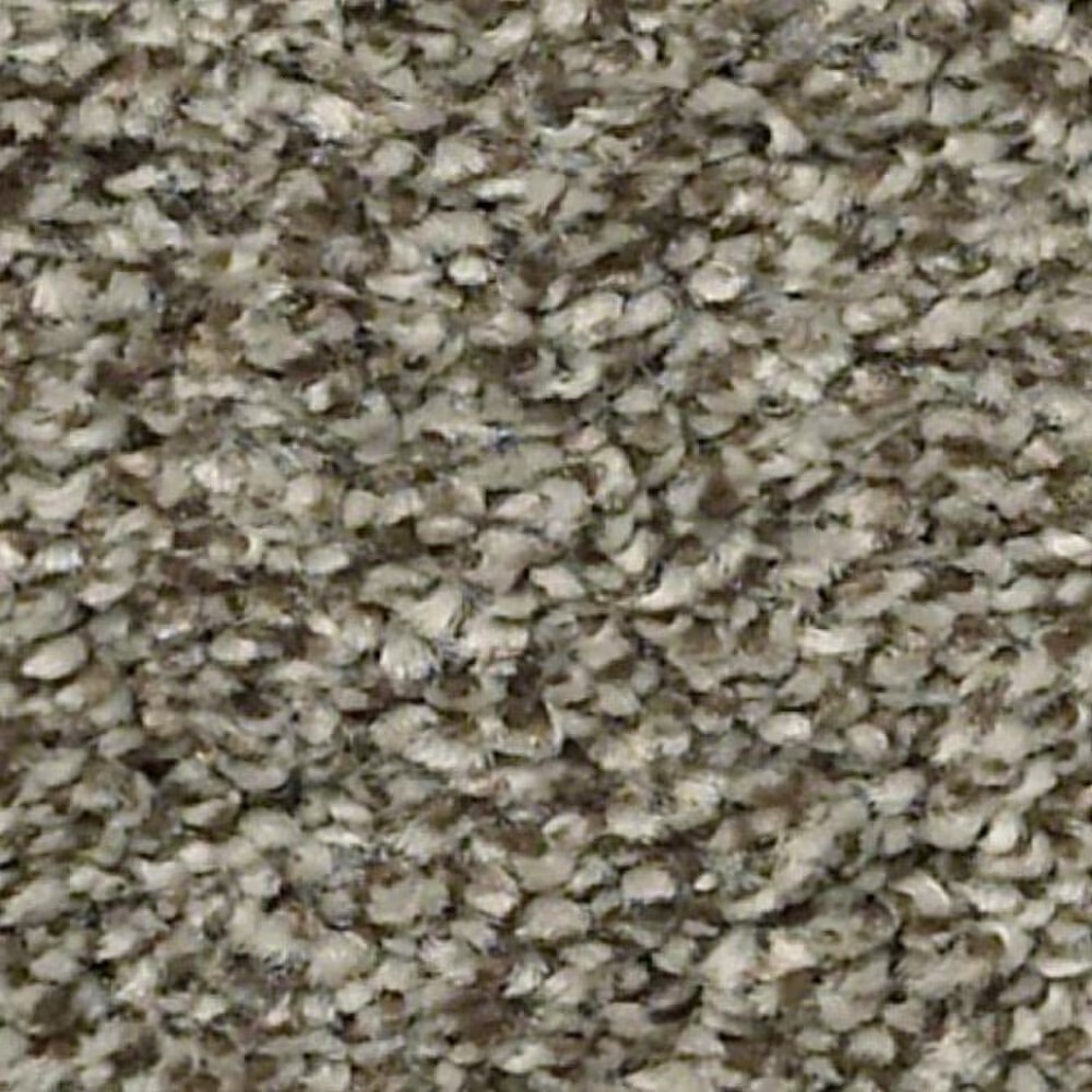 Shaw Just A Hint II Carpet in Dreamy Taupe