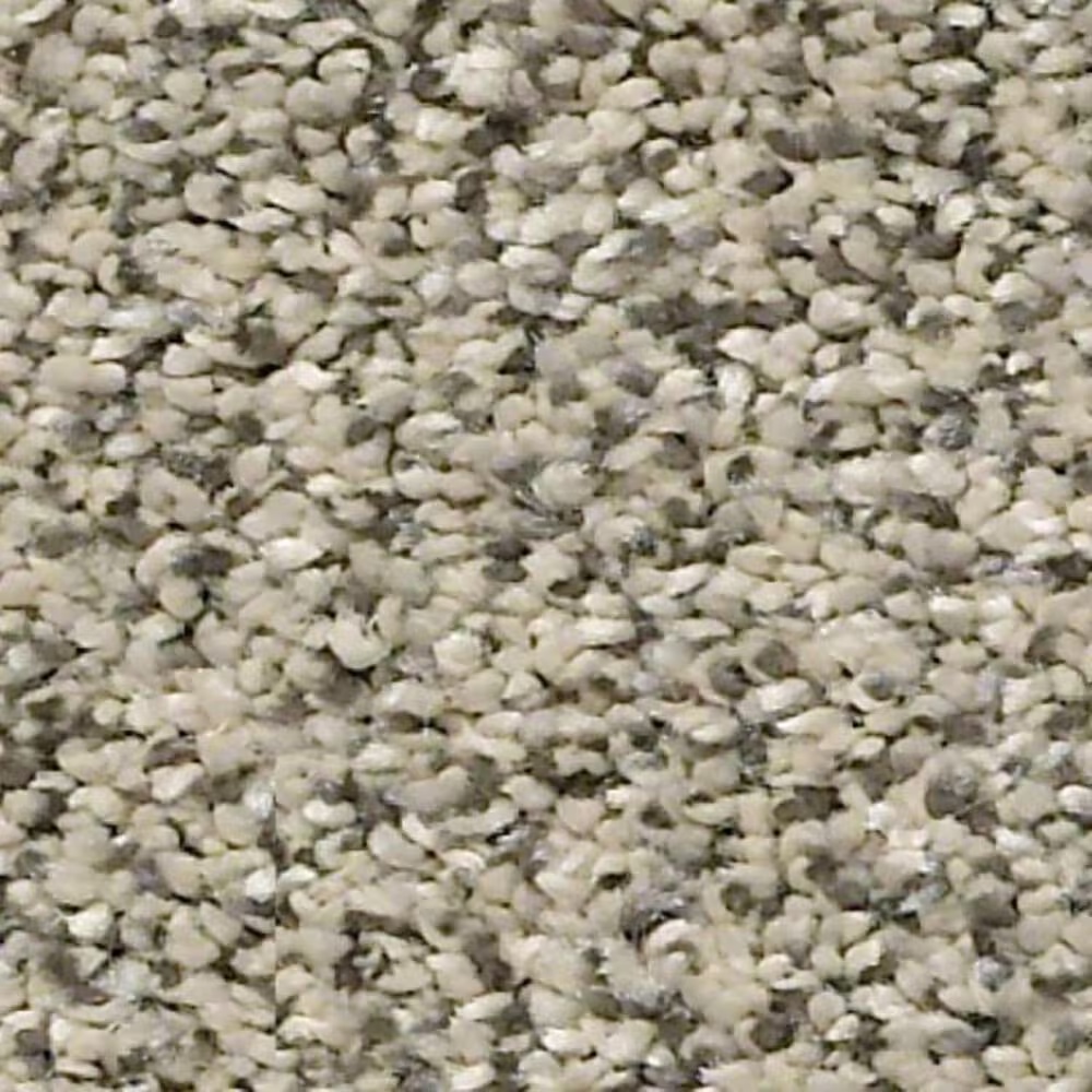 Shaw Points of Color I Carpet in Linen