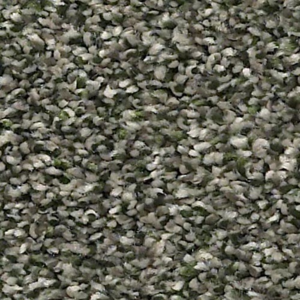 Shaw Points of Color I Carpet in Lush