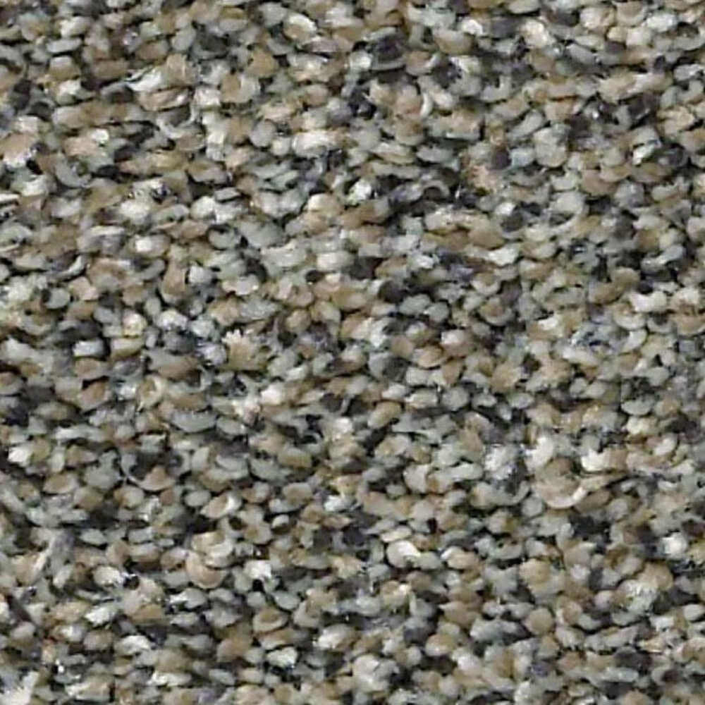 20083-shaw-points-of-color-i-carpet-in-fog-1.jpg