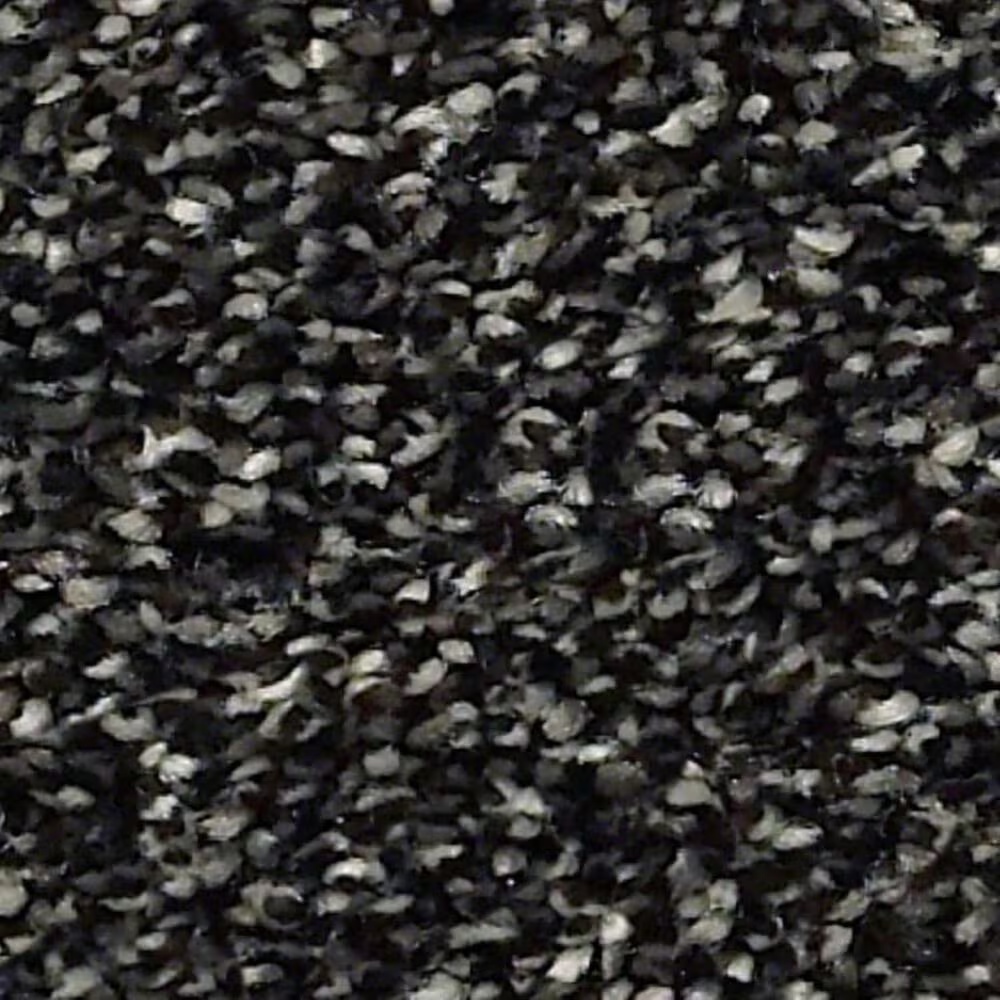 Shaw Points of Color I Carpet in Truffle