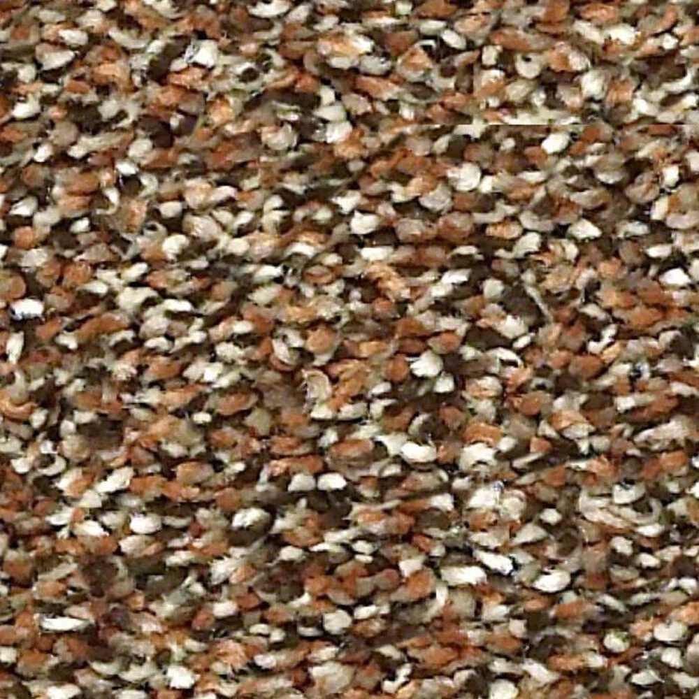 Shaw Points of Color I Carpet in Bronze