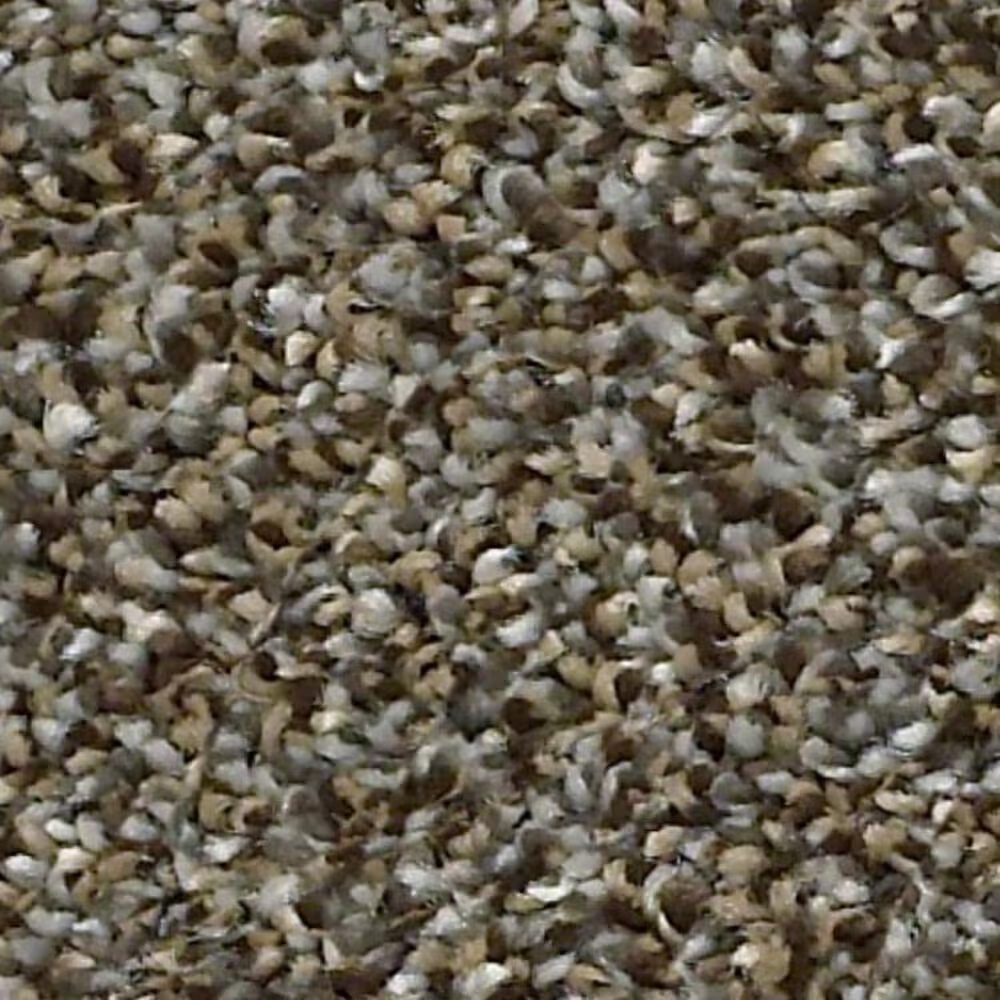 Shaw Points of Color I Carpet in Mahogany