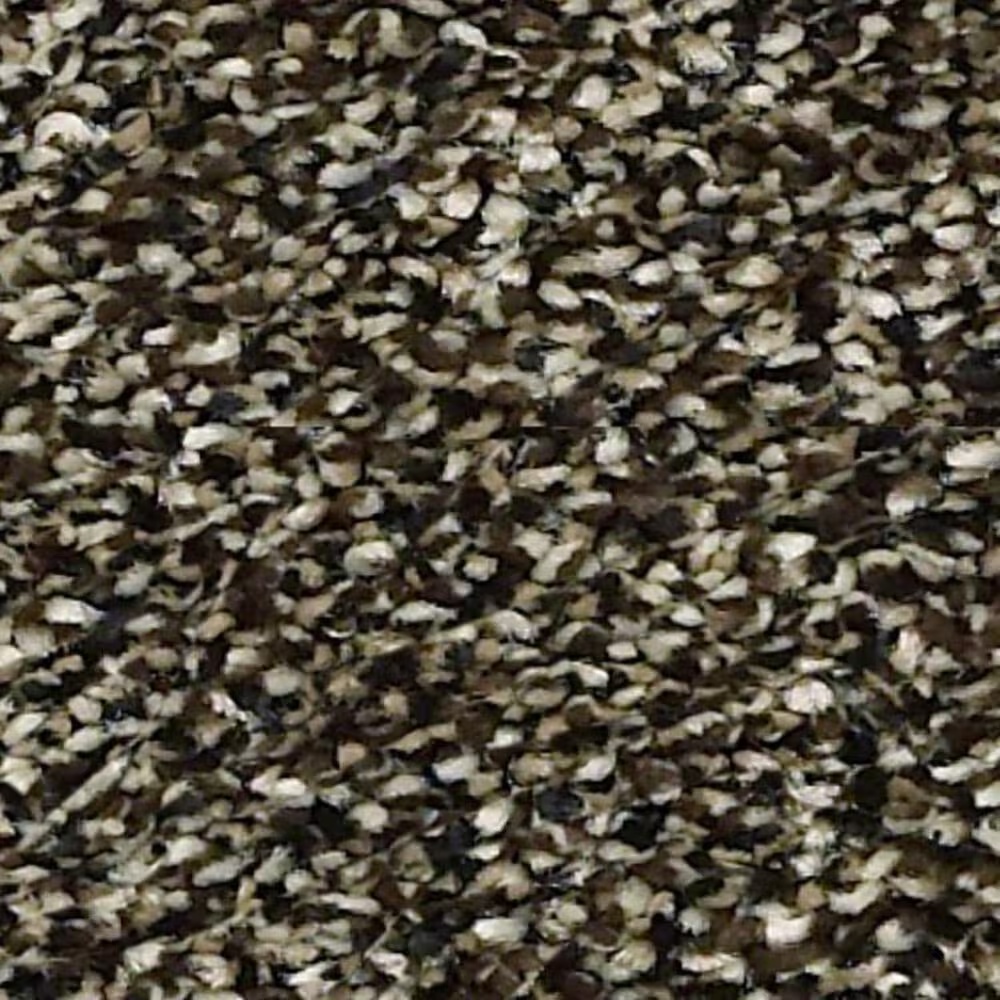 Shaw Points of Color I Carpet in Bark