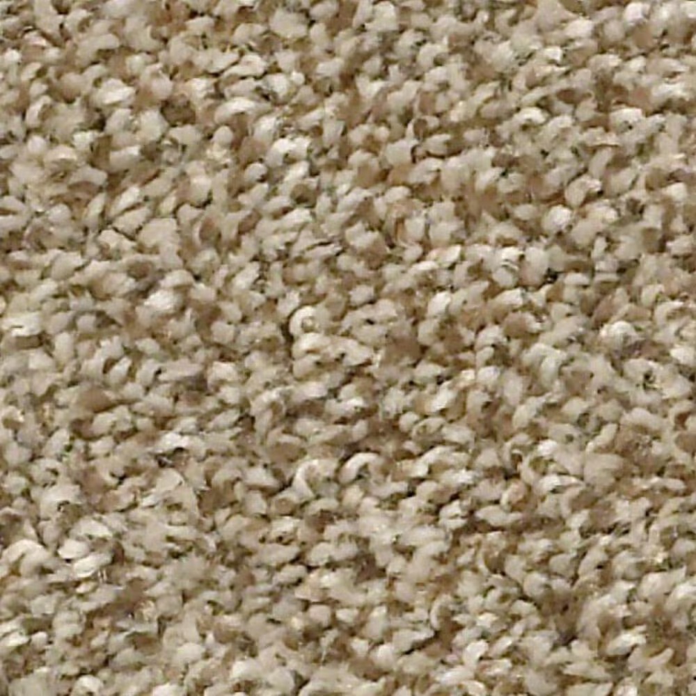 20229-shaw-just-a-hint-i-carpet-in-gold-rush-1.jpg