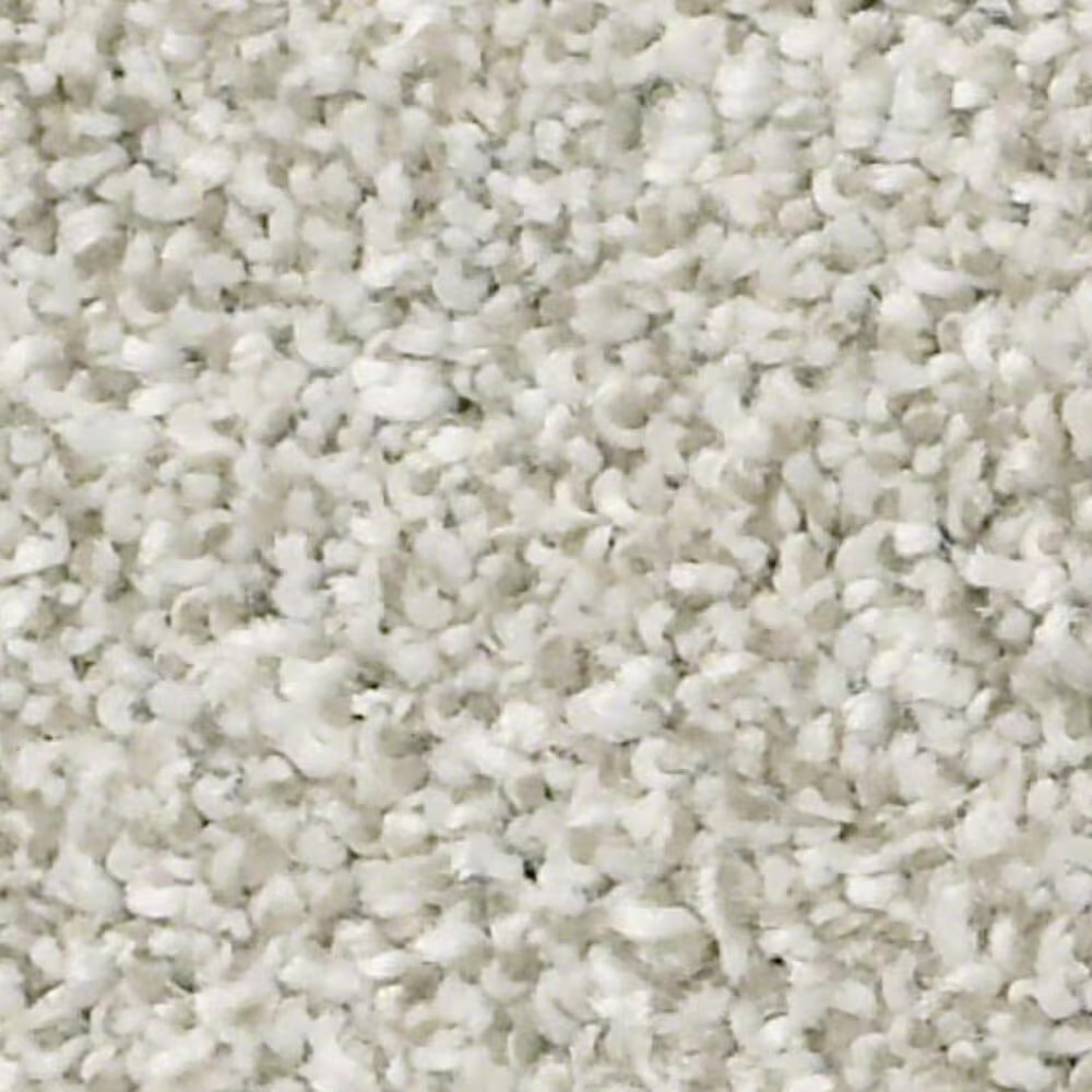 Shaw Just A Hint I Carpet in Platinum