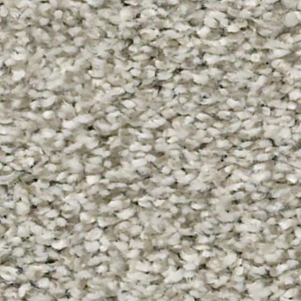 Shaw Just A Hint I Carpet in Flax