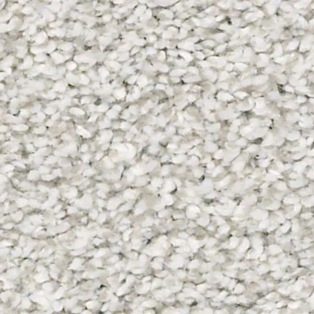 Shaw Just A Hint I Carpet in Nickel