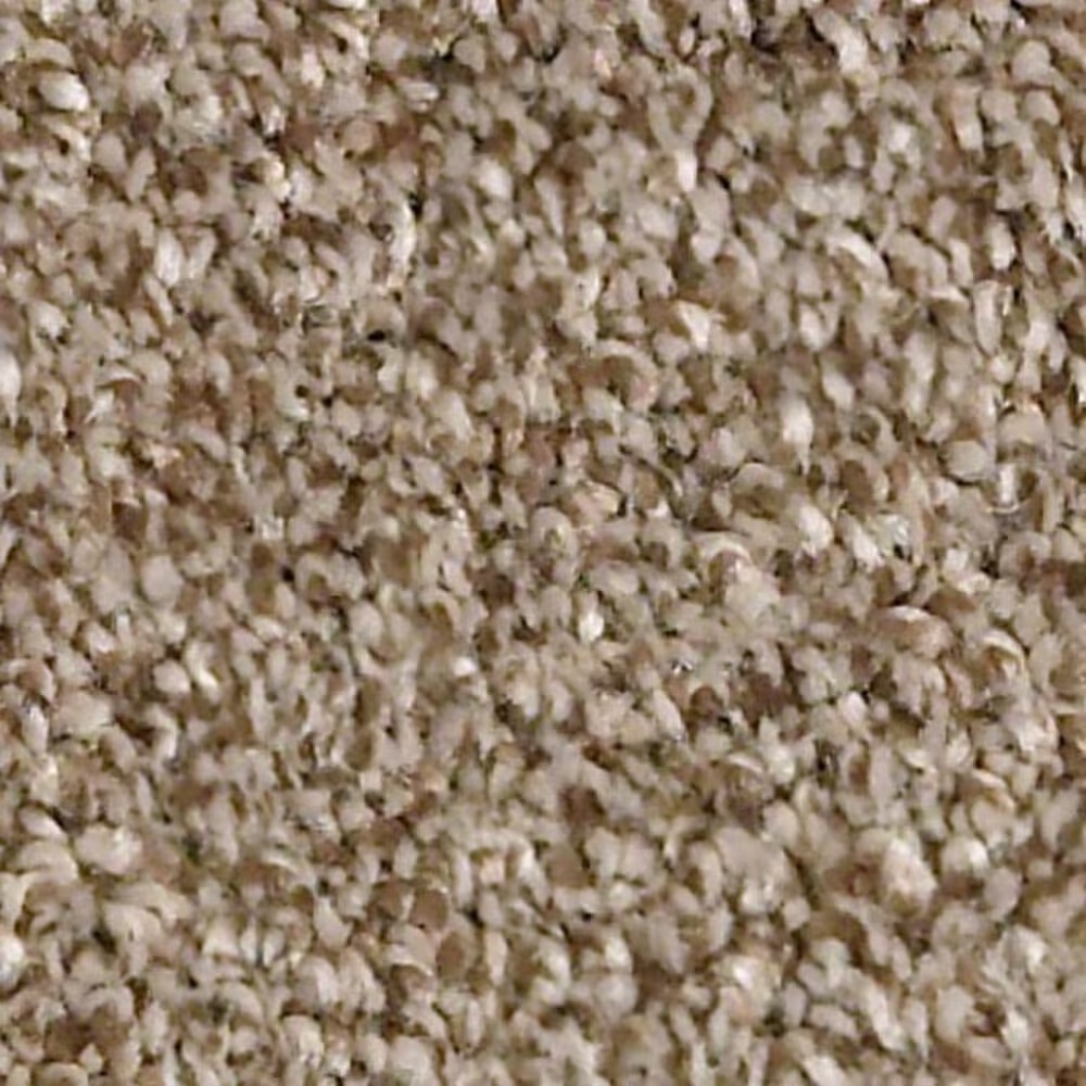 Shaw Just A Hint I Carpet in Bronze