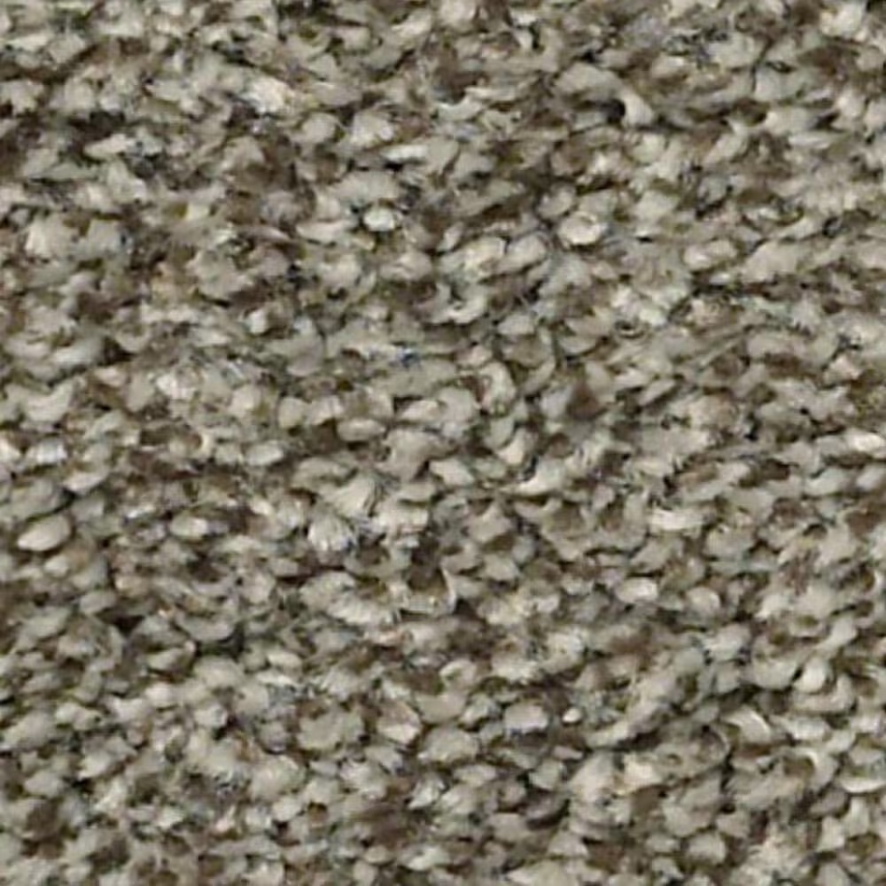 Shaw Just A Hint I Carpet in Dreamy Taupe
