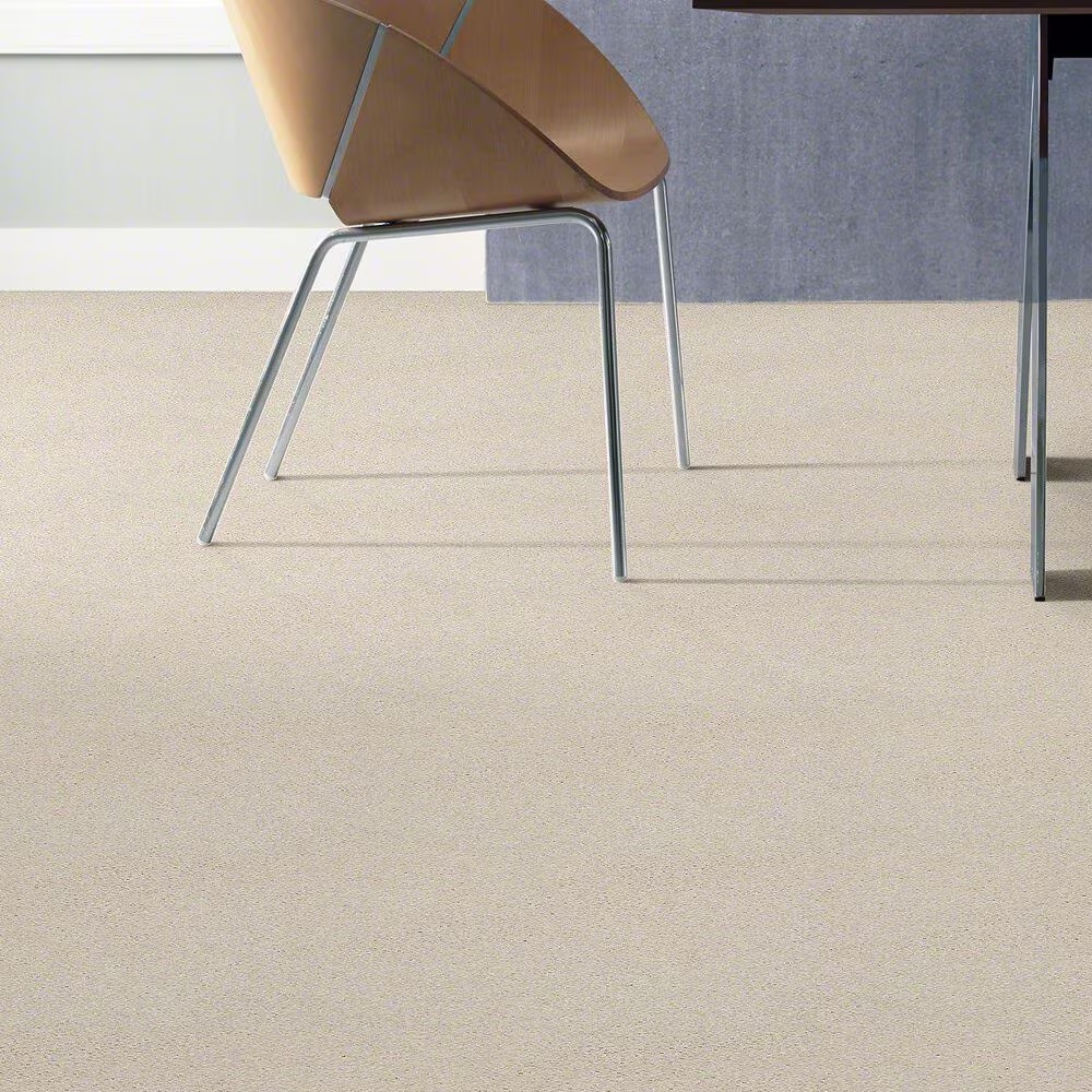 20479-shaw-basic-rules-carpet-in-snow-fall-1.jpg