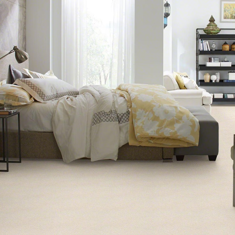 20479-shaw-basic-rules-carpet-in-snow-fall-1.jpg