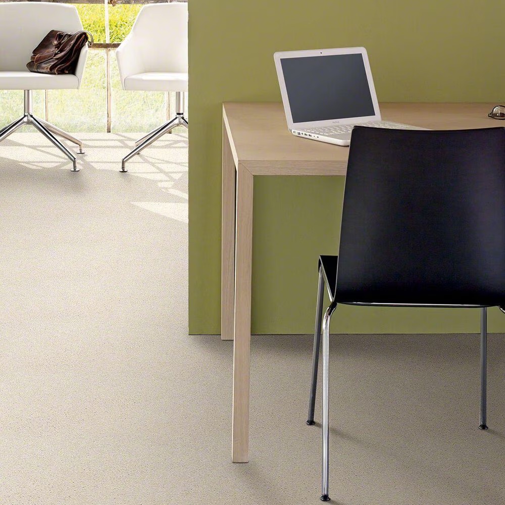 20479-shaw-basic-rules-carpet-in-snow-fall-1.jpg