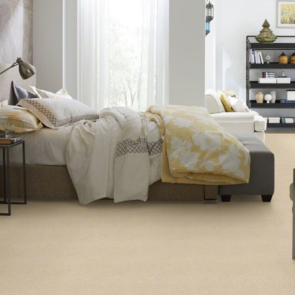 20480-shaw-basic-rules-carpet-in-eggshell-1.jpg